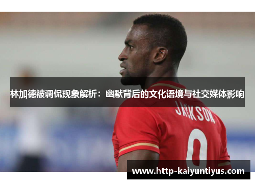 林加德被调侃现象解析：幽默背后的文化语境与社交媒体影响