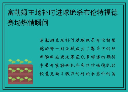 富勒姆主场补时进球绝杀布伦特福德赛场燃情瞬间 富勒姆主场补时进球绝杀布伦特福德赛场燃情瞬间